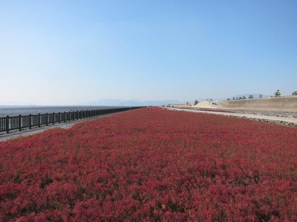 🏞️ 요카 갯벌 공원(히가타 요카 코엔) 이미지 7